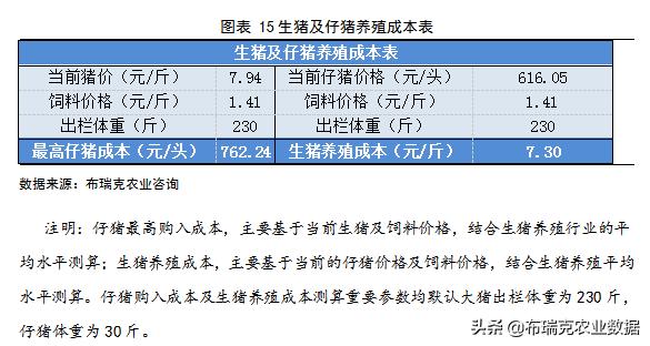 商丘猪价格最新动态分析简报