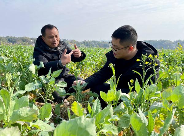 金薮乡新项目，乡村发展的璀璨明珠引领未来