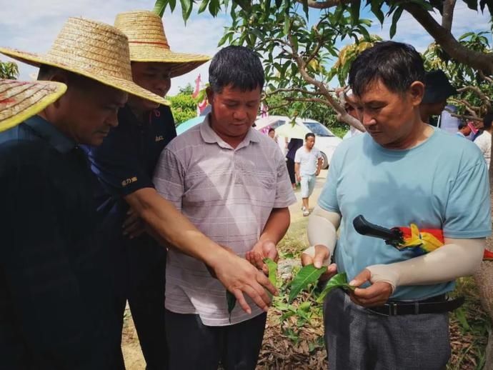 芒来村最新新闻报道概览