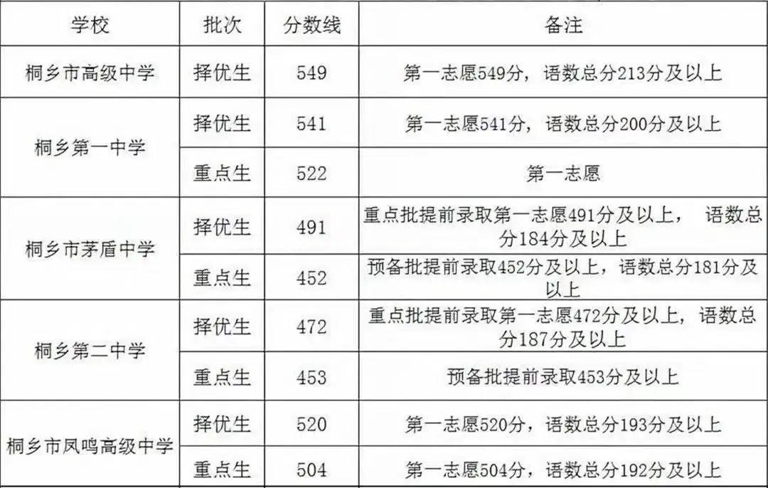 桐乡市初中最新项目，迈向教育现代化大步前行