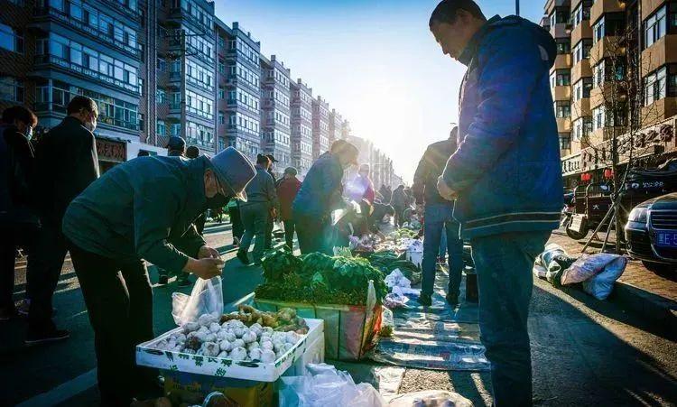 讷河鸡蛋价格动态分析与市场趋势预测