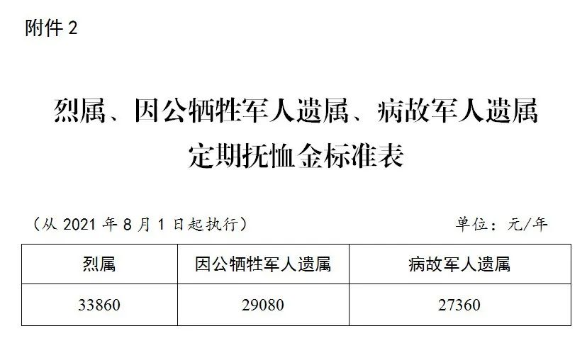 最新伤残军人网，连接关爱与荣誉的桥梁纽带