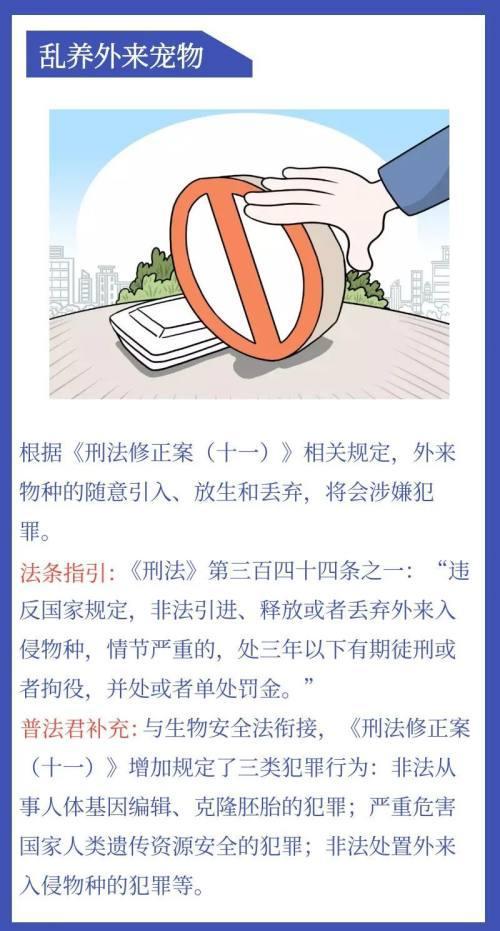 最新刑法罪名解析，新增罪名的内涵与外延详解