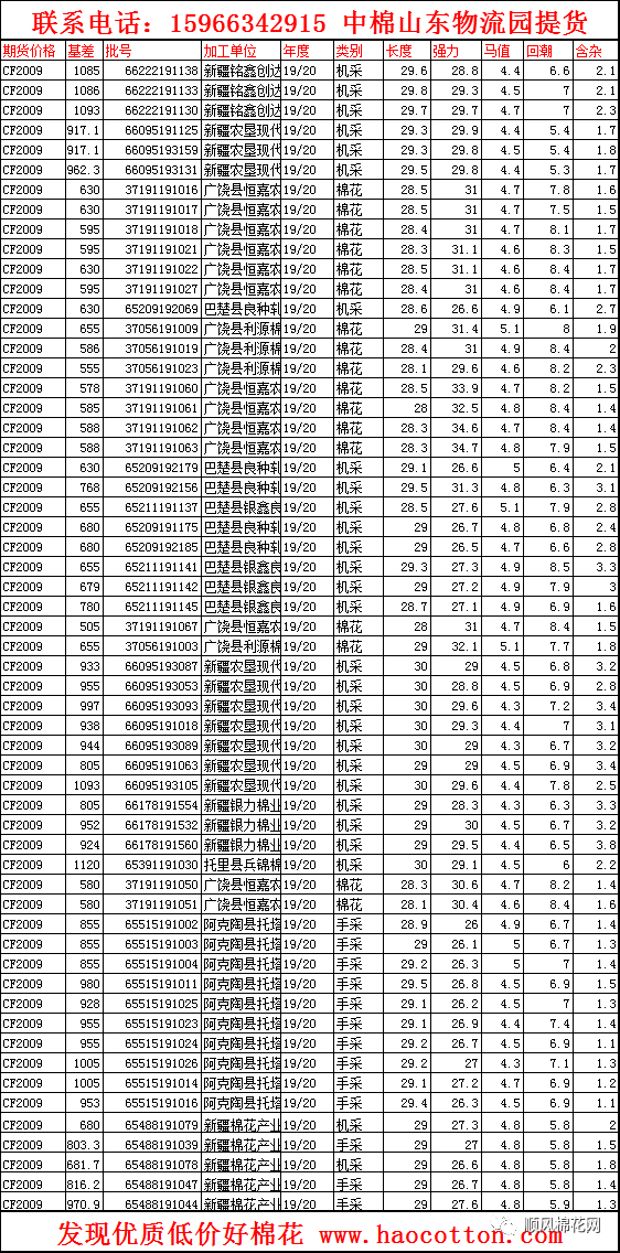 山东皮棉最新价格动态解析