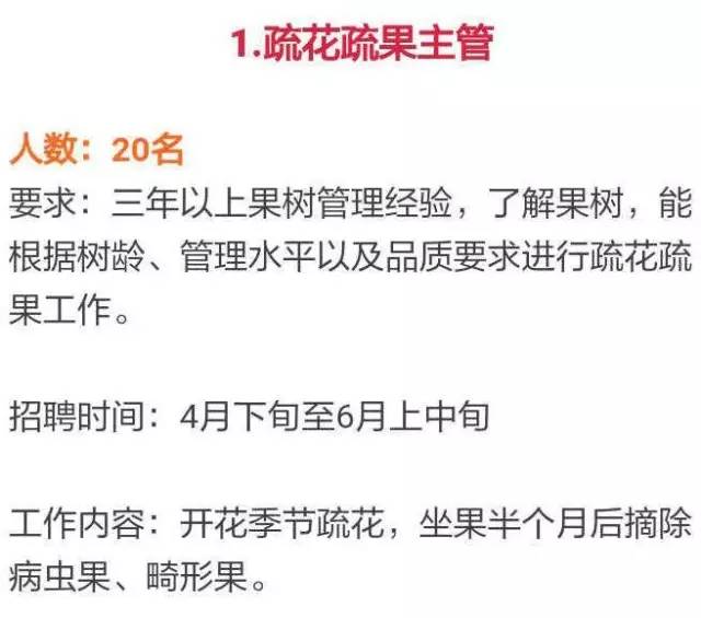 普钦村最新招聘信息全面解析