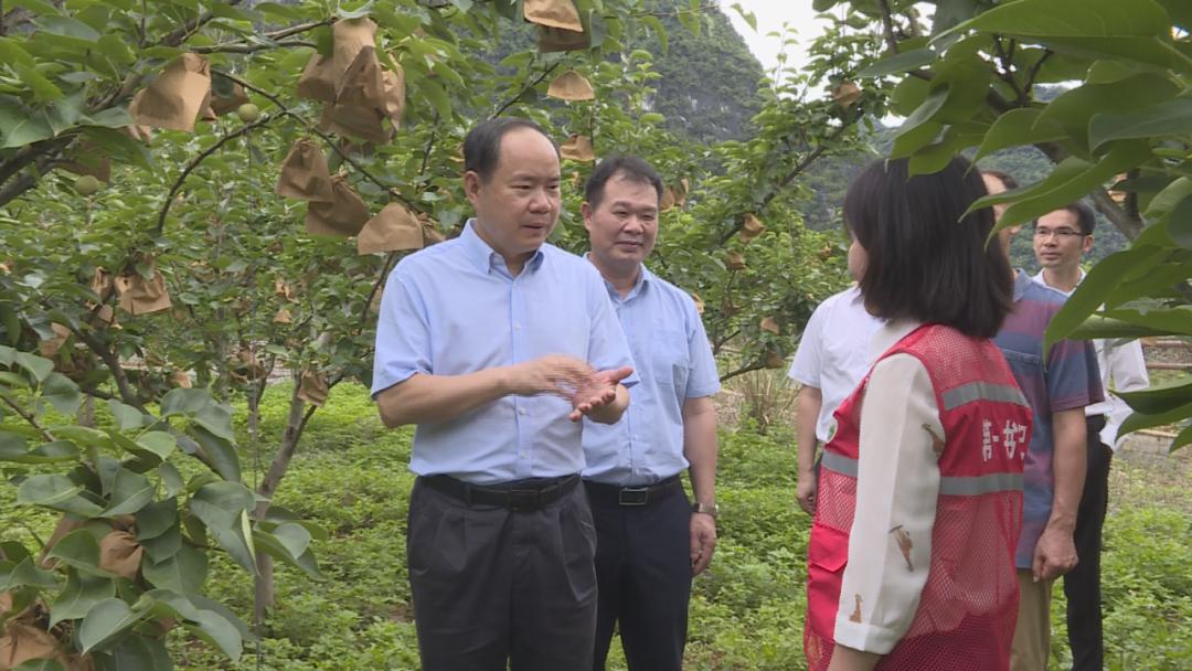 哈尔滨市南宁日报社新项目，探索与突破的启航