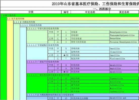 山东省最新医保目录深度解析