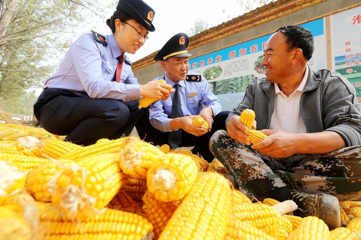 辽宁尿素最新价格动态解析