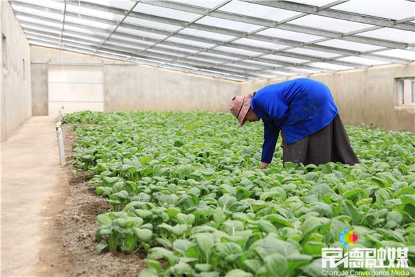 隆子县自然资源和规划局最新发展规划概览